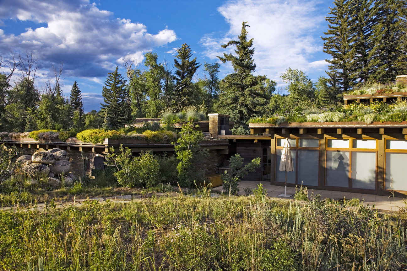 Landscape design in progress: outdoor space with grading and materials — Our Process