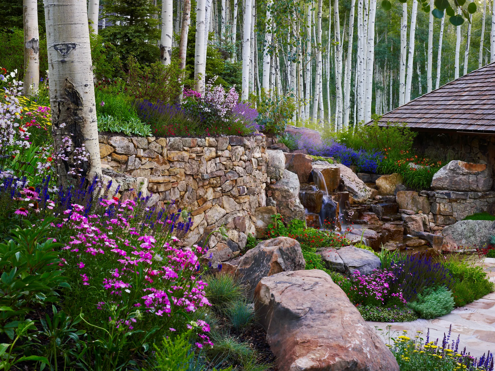 Ceres+ history — roots in the Mountain West and integrated design practice